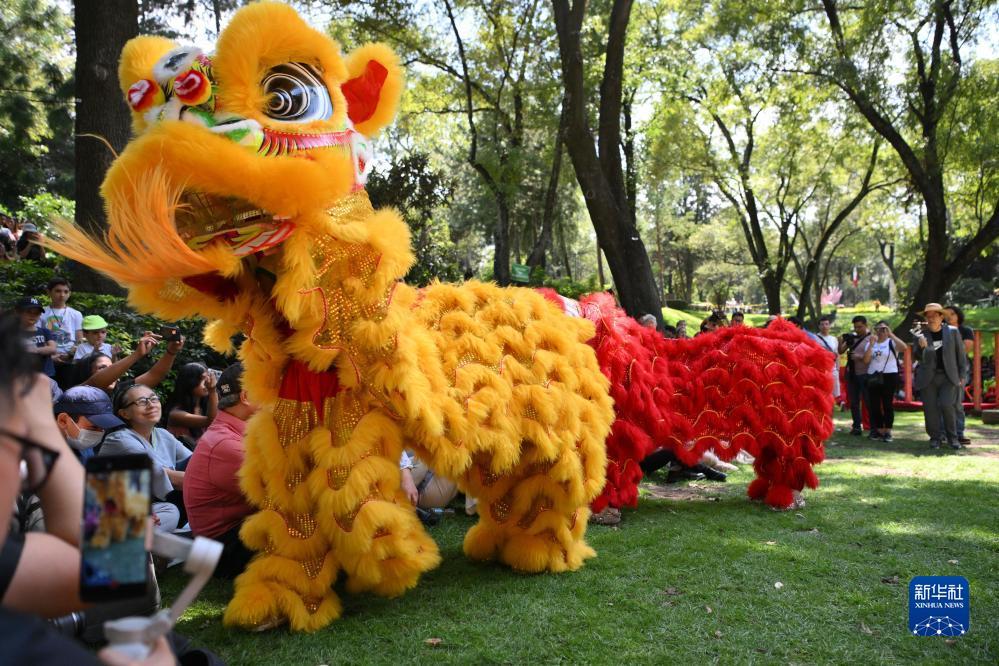 金亚洲登陆平台登录